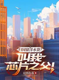 歸國留洋水貨？叫我芯片之父！